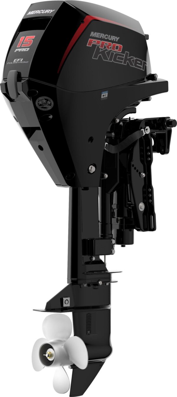 New Mercury 15 ELPT PK 4S Outboard For Sale In Chisago City, MN 55013